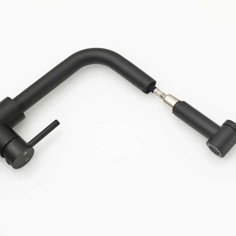 Single Handle Kitchen Faucet with Pull Out Spray