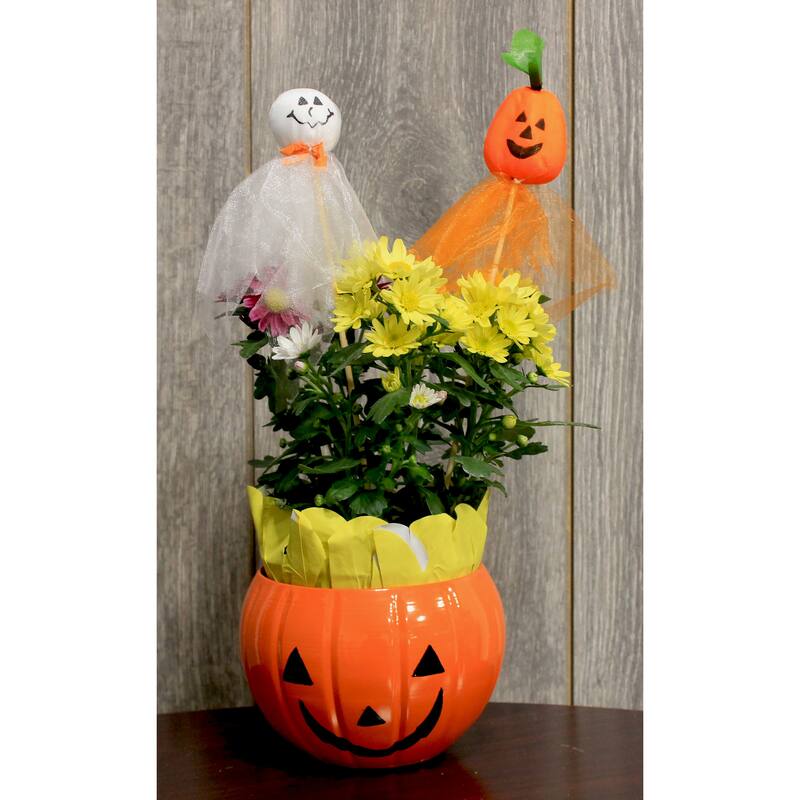 12" Organza Pumpkin Pick, Set of 12