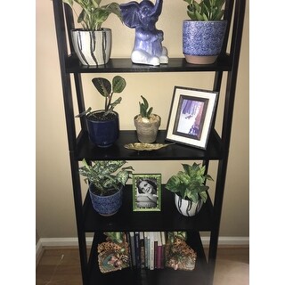 Porch & Den Peterson 5-shelf Ladder Bookcase