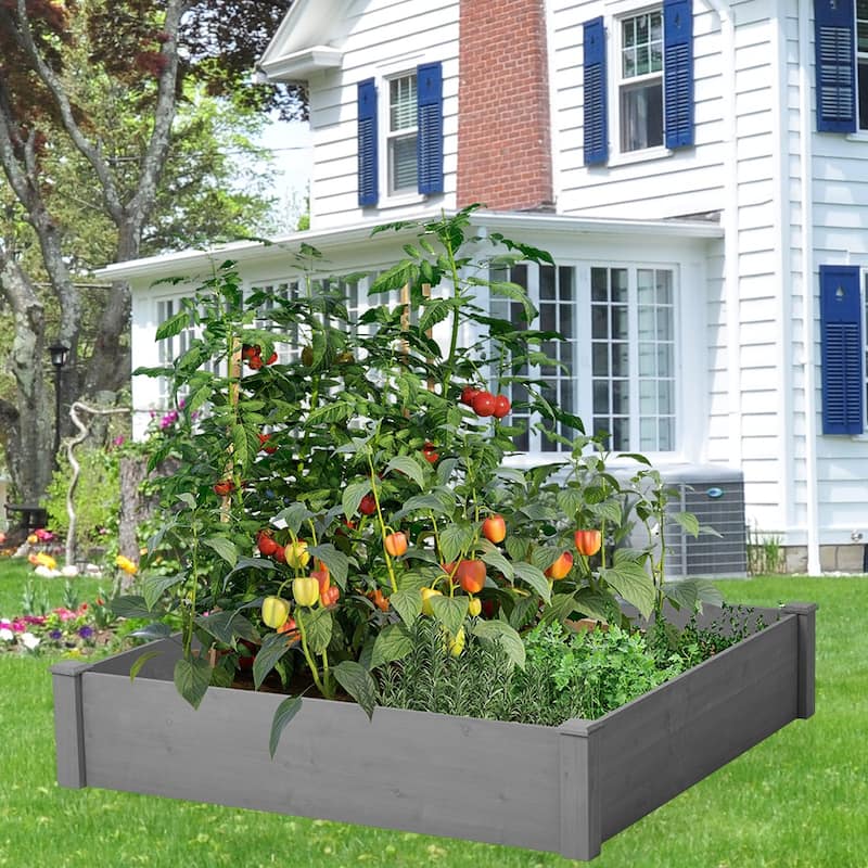 Outdoor Square Wood Raised Garden Bed, 48" Square, Planter Box - 48"(L) x 48"(W) x 10"(H) - Grey