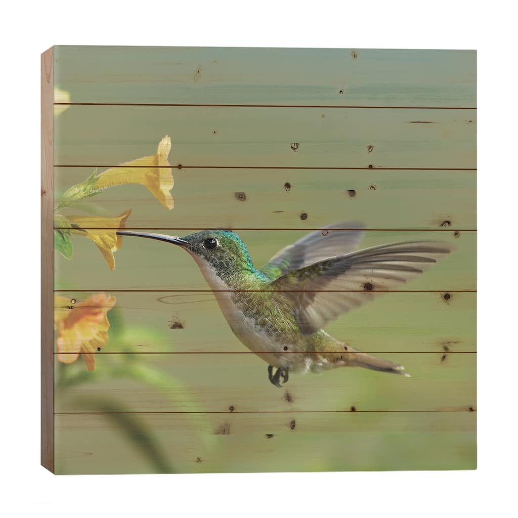Andean Emerald Hummingbird Feeding On A Yellow Flower, Ecuador - Vertical Print On Wood by Tim Fitzharris - Multi-Color