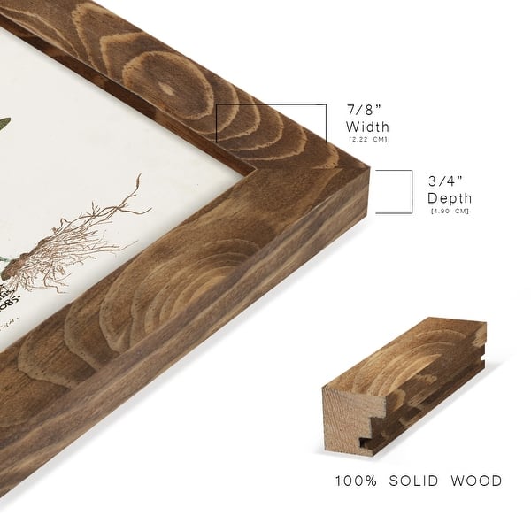 dimension image slide 10 of 21, Nature Printed Ferns IX -Framed Print w/glass-Cherry Red