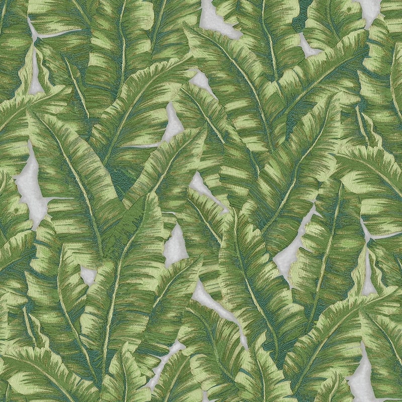 Botanical Exotic Plants Luxury Leaf Pattern Tropical Wallpaper