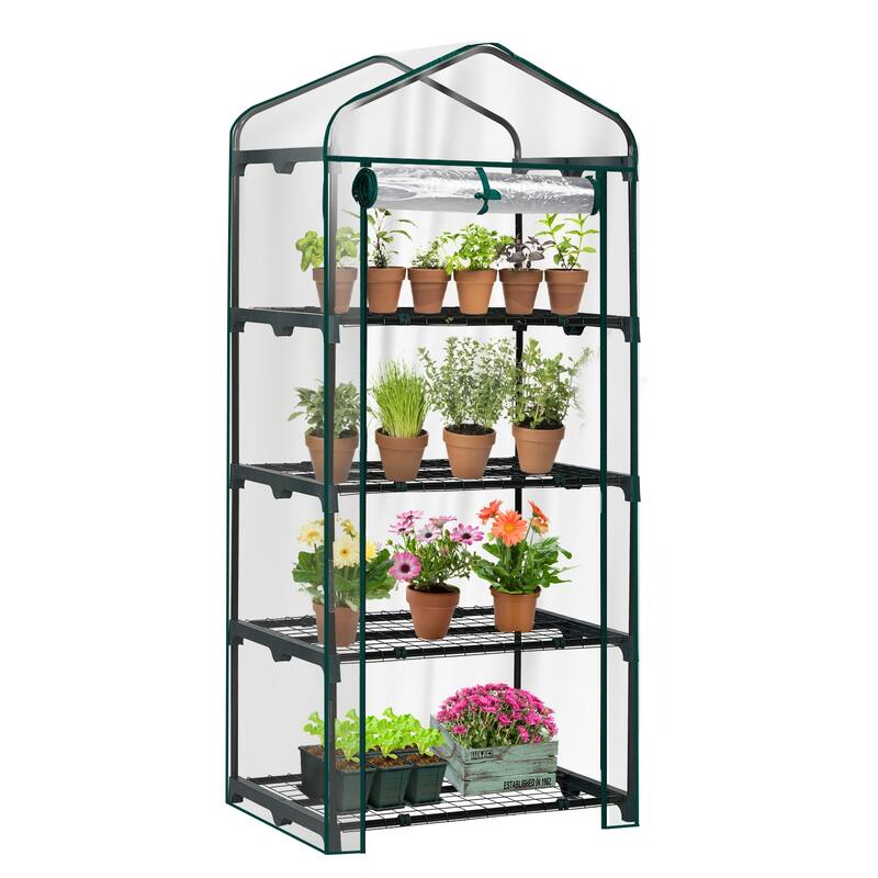 PE Cover Steel Frame 4-Tier Mini Greenhouse