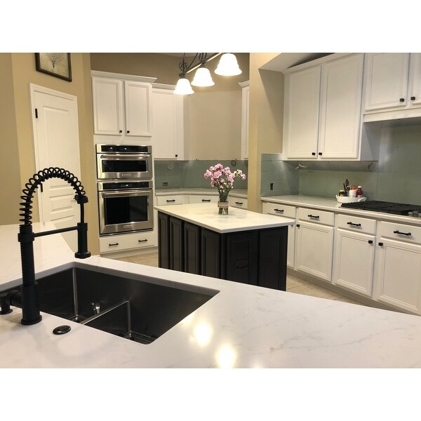 Top Product Reviews for VIGO Edison Pull-Down Spray Kitchen ...