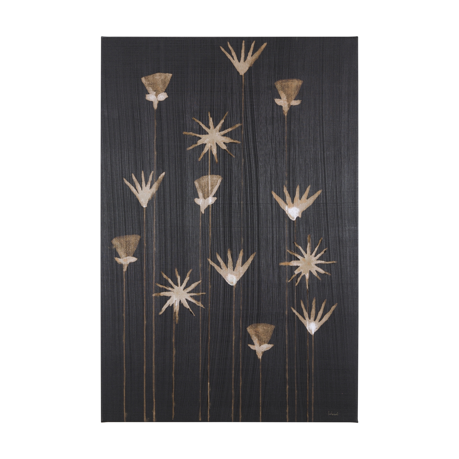 Mercana Spark II (30 x 45 ) Canvas Art Print