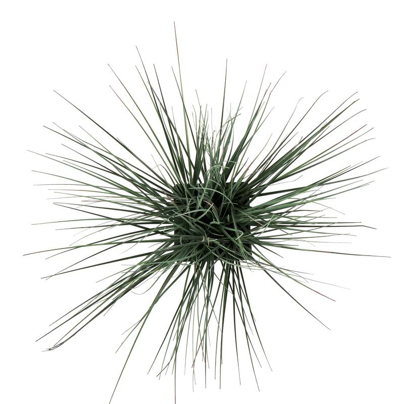 Green Faux Foliage Onion Grass Artificial Plant with Black or White Plastic Pot Options