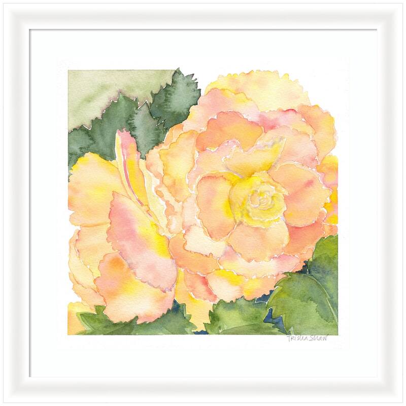 Kate and Laurel Framed Art Orange Pink Abstract Begonia by Patricia Shaw - 27x27 - White