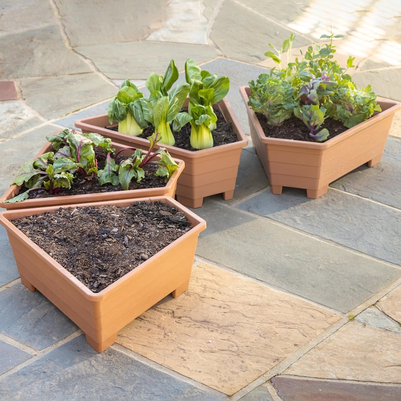 20 in. Plastic Modular Planters (Set of 4)