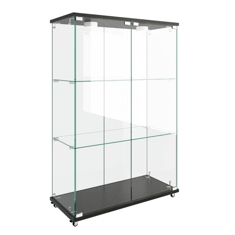 Modern Glass Display Cabinet with LED Lights, Quick-Assembly 2-Door Bookcase with Tempered Glass & Black Frame