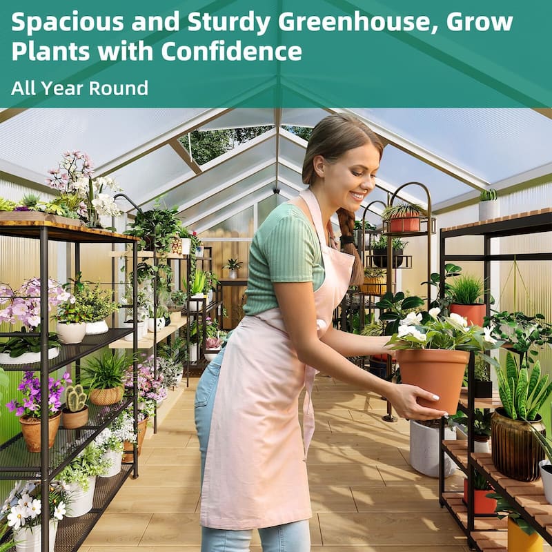 8x12 Ft Greenhouse for Outdoors,Large Walk-in Greenhouse