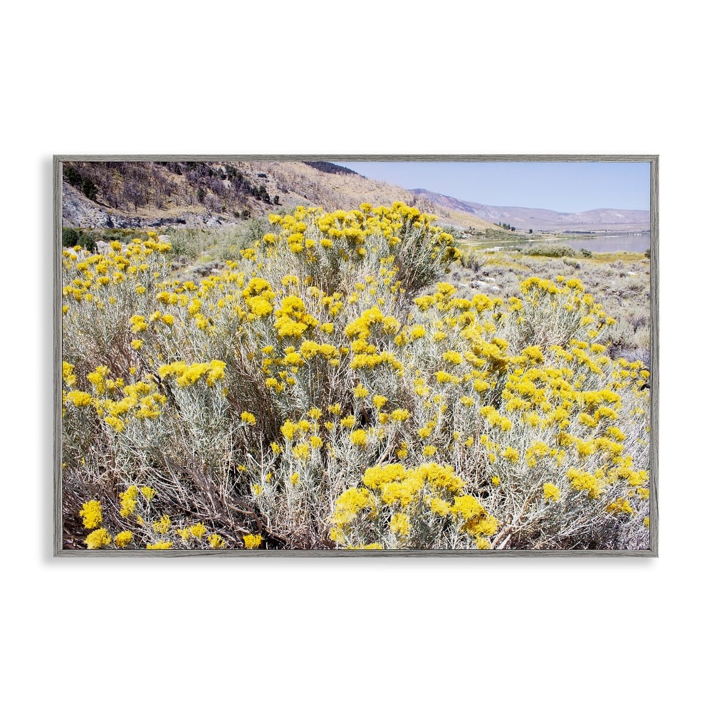 Stupell Yellow Flowers in Arid Meadow Framed Giclee Art Design By Gemma Bardot
