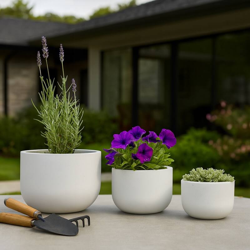 Pottery Rounded Cement Planters (Set of 3) - 11", 8", 6" White - 15" x 15" x 11"