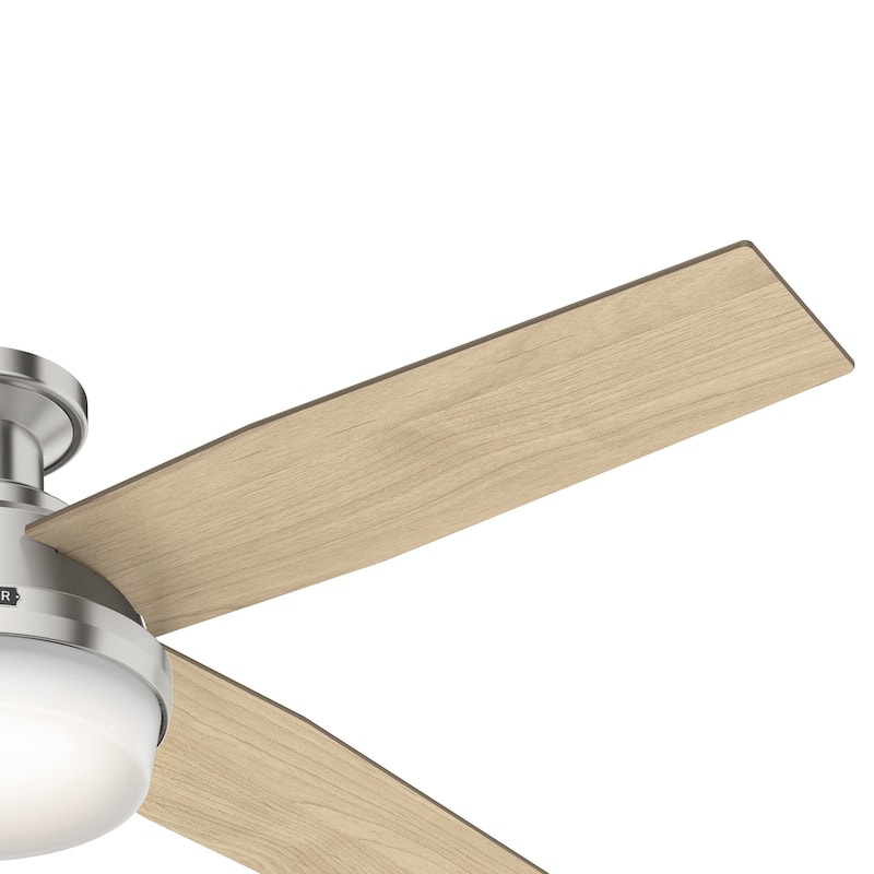 Hunter 52" Dempsey Flush Mount Ceiling Fan w/ LED Light Kit, Handheld Remote - Contemporary, Transitional - Low Profile
