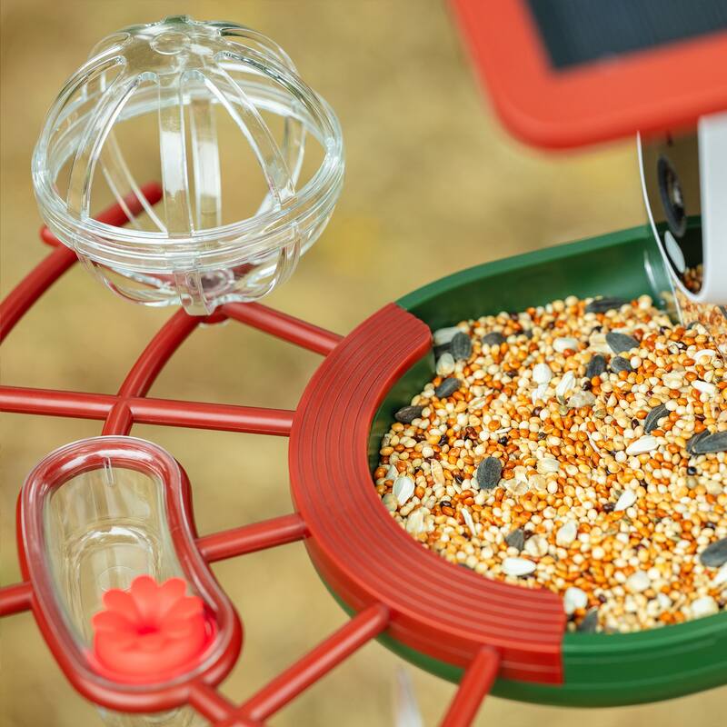 Smart Solar-Powered Bird Feeder with Camera, AI Recognition,144° Wide-Angle Lens and App