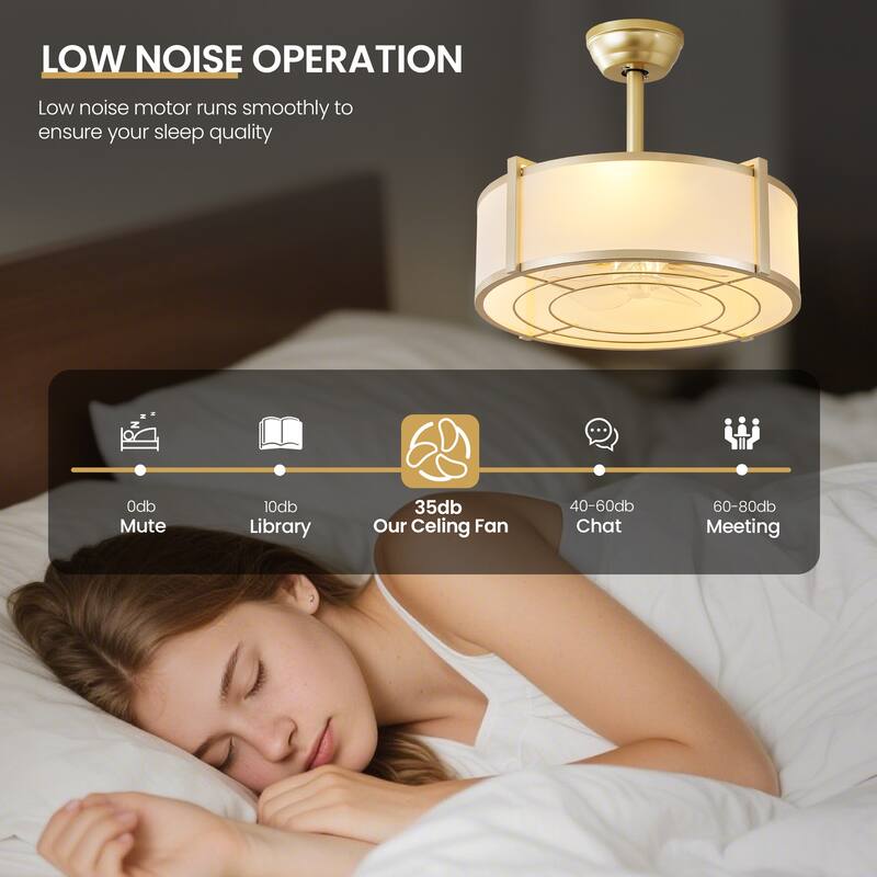 20" Modern Fabric Caged Ceiling Fan Chandelier with Remote - 4-Light