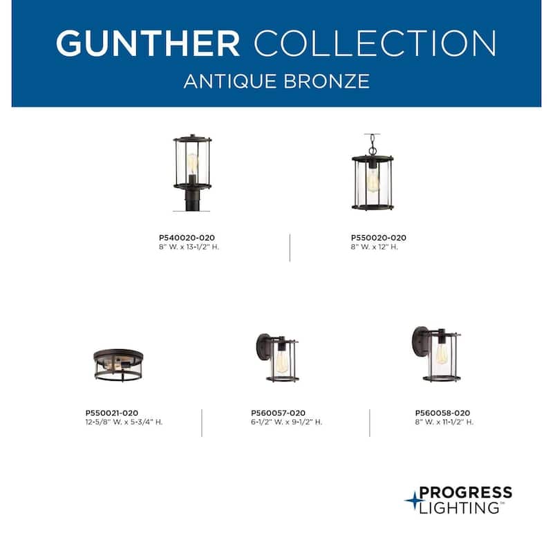 Gunther Collection 12-5 8" Flush Mount - 10.000" x 15.250" x 15.500"