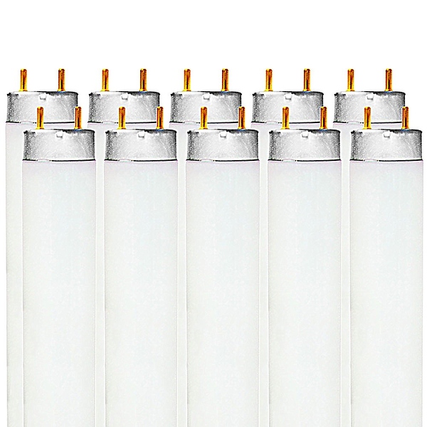 4 ft fluorescent bulbs deals