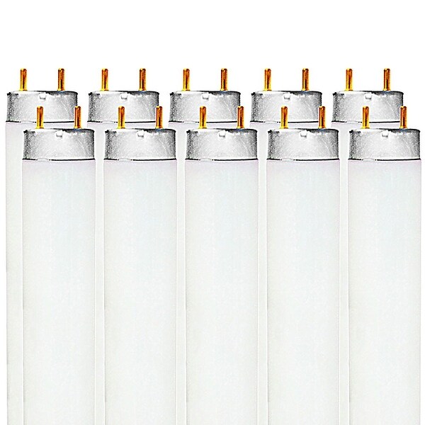 T8 shop bulb lumens