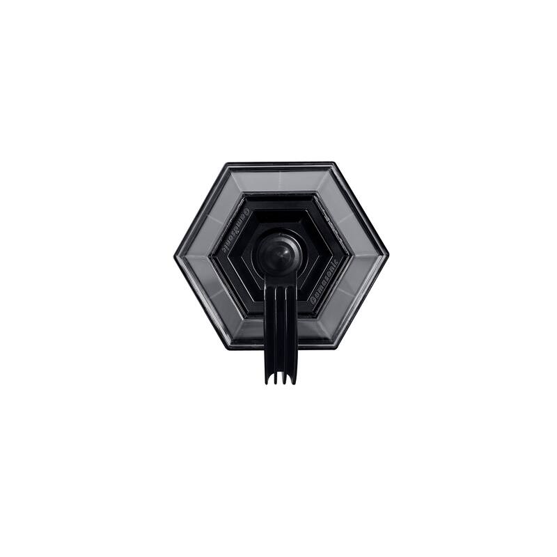 Shepherd Hook 80 Lumen Solar Warm White LED Pathway Landscape Light