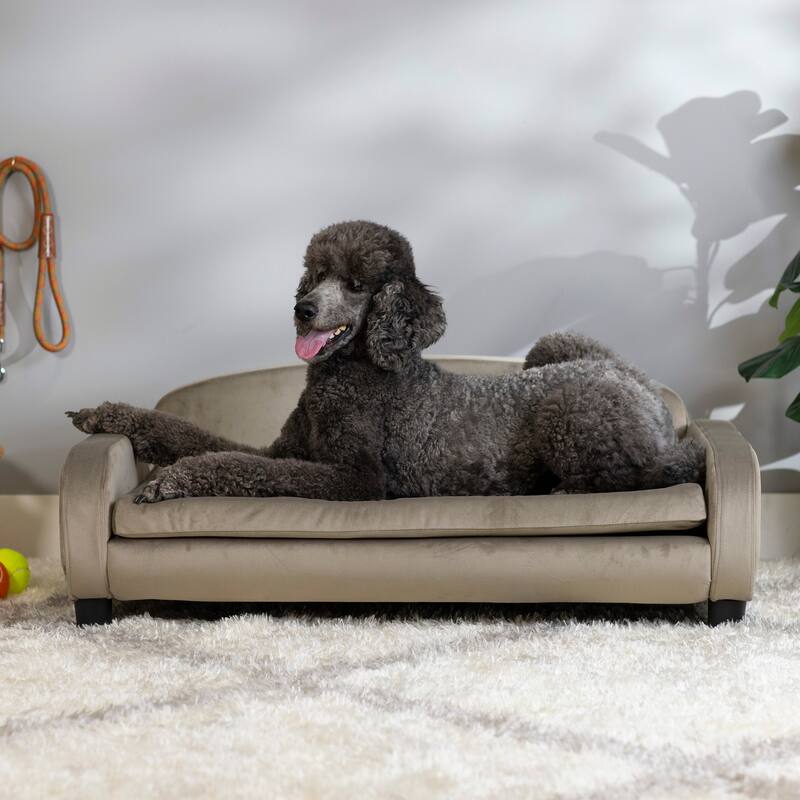 Paws & Purrs Modern Pet Sofa Bed Low-Back Lounger for Dogs & Cats – Removable Washable Mattress Cover - Large - Arabella Ash