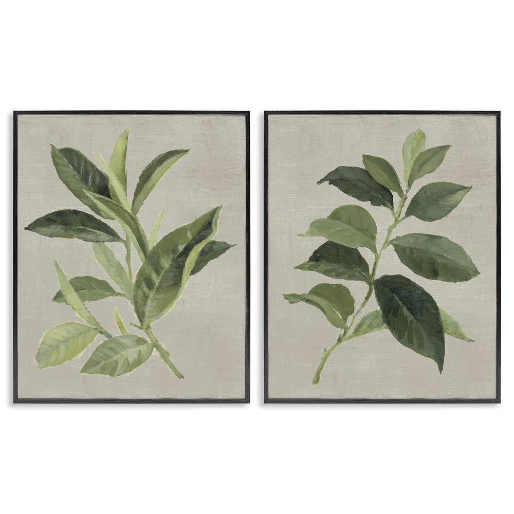Stupell Green Tea & Coffee Plant Leaves Framed Giclee Art Design By Lanie Loreth (Set of 2)