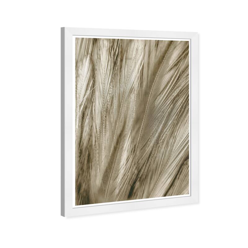 Wynwood Studio Prints Animals Feather Close Up Gold and Metallic Gold Modern & Contemporary Wall Art Canvas Print