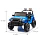 Option Blue