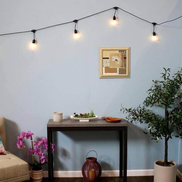 Shop Sunnydaze Indoor Outdoor Led String Lights Edison Bulbs 23