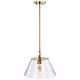 preview thumbnail 6 of 6, Dover 1 Light Medium Pendant Vintage Brass with Clear Glass - Vintage Brass
