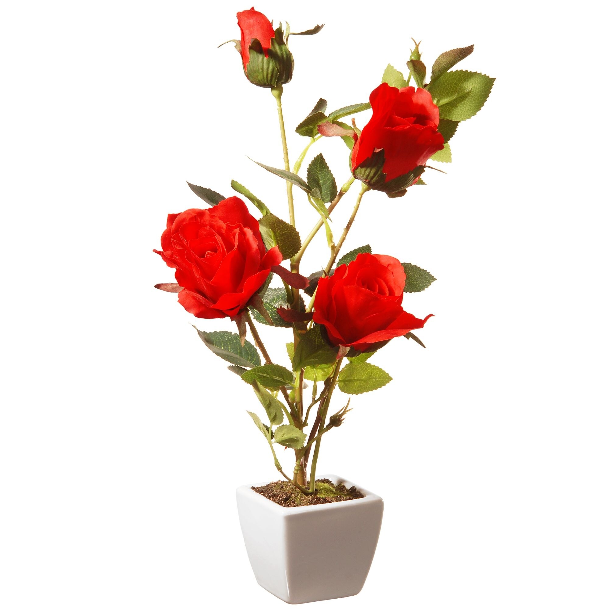 Shop 15 White Square Potted Artificial Red Rose Flowers Overstock 26437355
