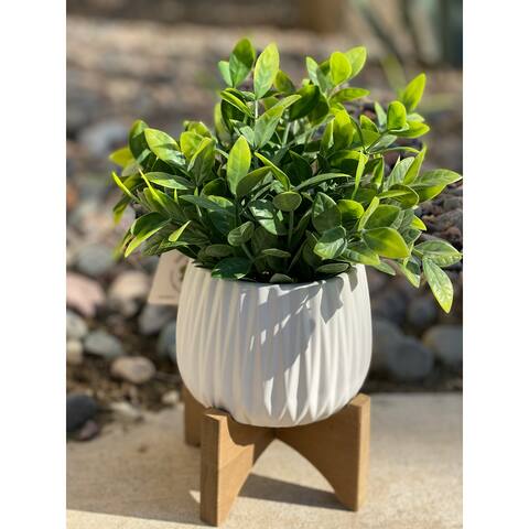 Tea Leaf in MTWH RIDGE pot on stand - ONE-SIZE