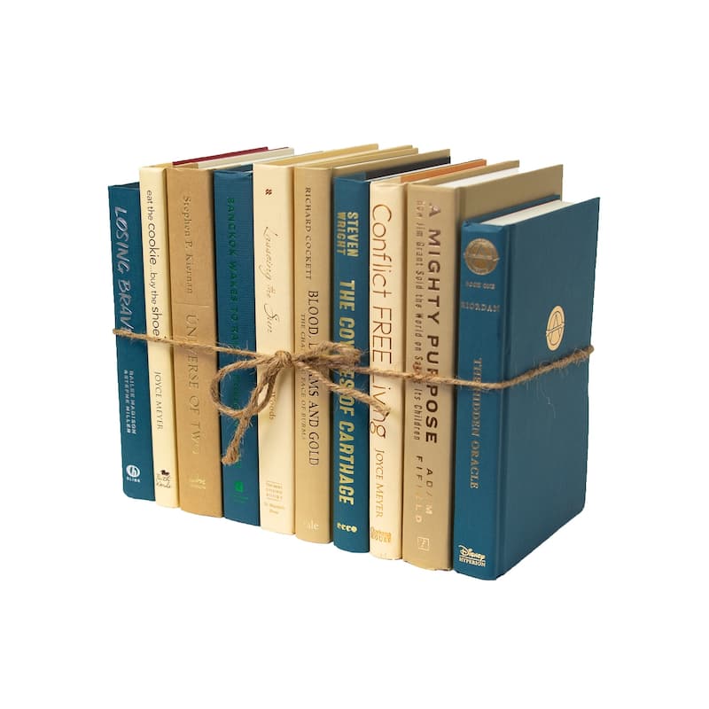 Books Blue Decorative Accessories: Sand Dune ColorPak