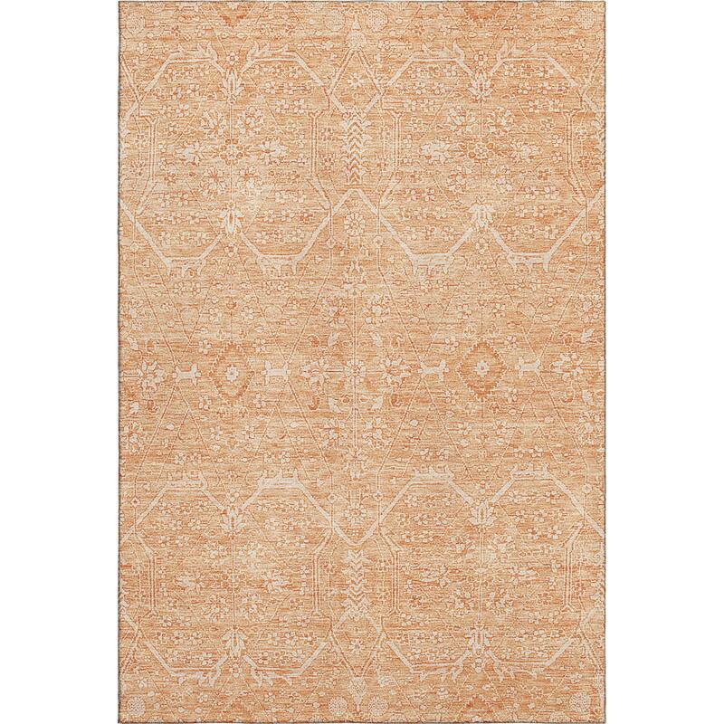 Premium Washable Super Soft Traditional Global Mayfield Rug