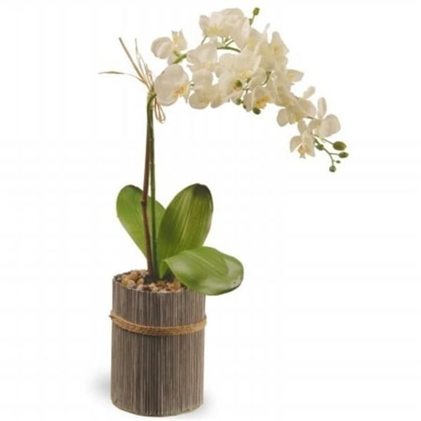 National Tree GAPF30-20W 20 in. Potted Orchid - White