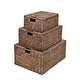 preview thumbnail 8 of 8, Woven Rectangular Storage Baskets with Lids & Handles (Set of 3)