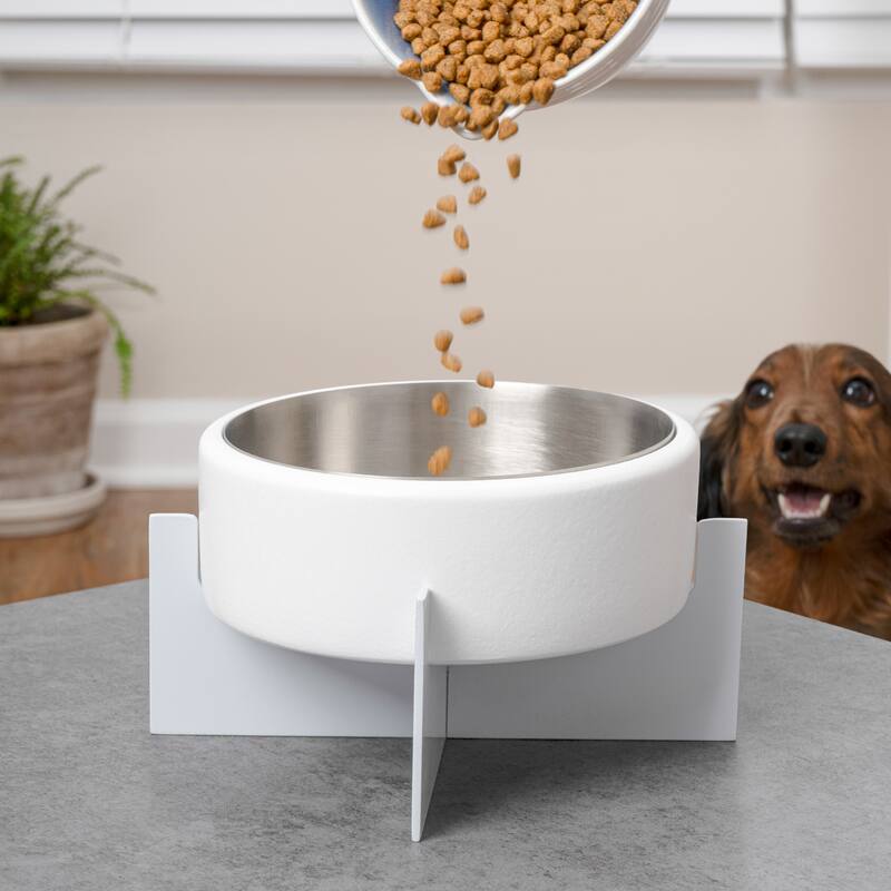 Intersecta Concrete & Steel Pet Feeder - 16oz with Metal Stand