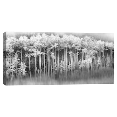 Dreamy Aspen by Danita Delimont Canvas Art Print