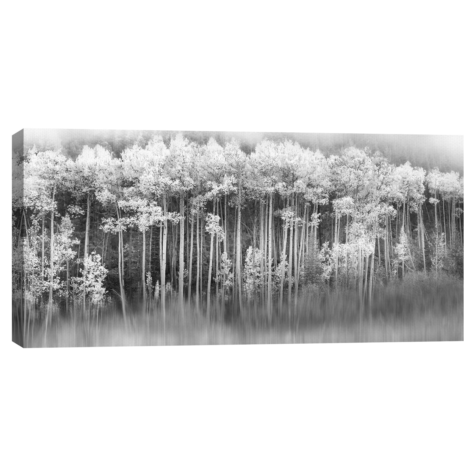 Dreamy Aspen by Danita Delimont Canvas Art Print
