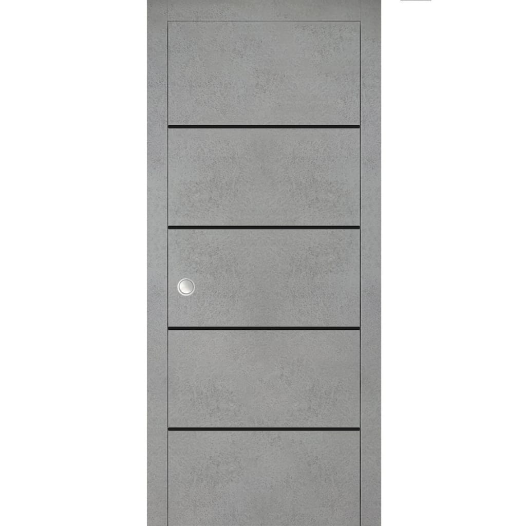 French Pocket Door 28 x 80 with Planum 0015 Concrete with Kit Trims Rail