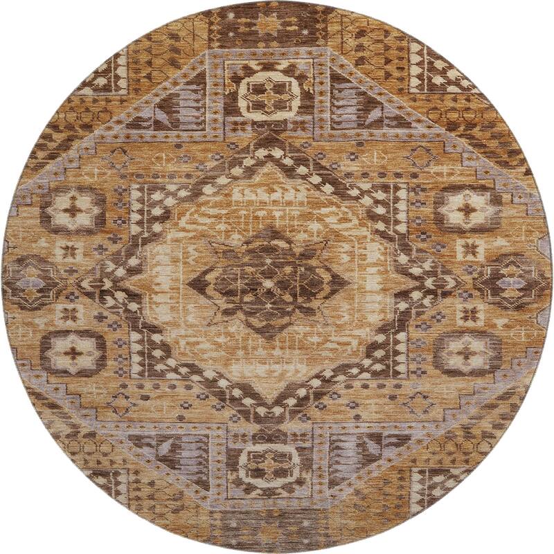 Premium Washable Super Soft Traditional Global Mayfield Rug