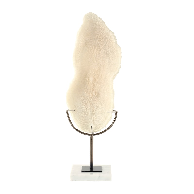 Polystone Coral Abstract Textured Sculpture with Gray Stand and Acrylic Base - Cream - Roche River Decor - 5"W x 7"L x 19"H