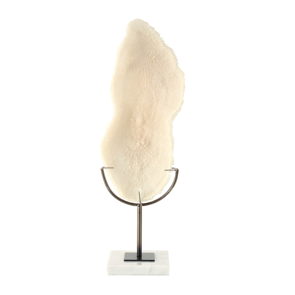 Polystone Coral Abstract Textured Sculpture with Gray Stand and Acrylic Base - Cream - Roche River Decor - 5"W x 7"L x 19"H