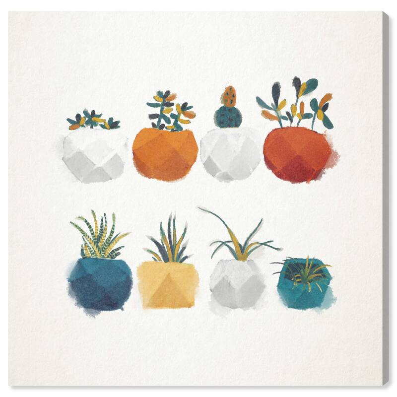 Wynwood Studio Canvas Floral and Botanical Succulicious Orange and Pumpkin Modern & Contemporary Wall Art Canvas Print
