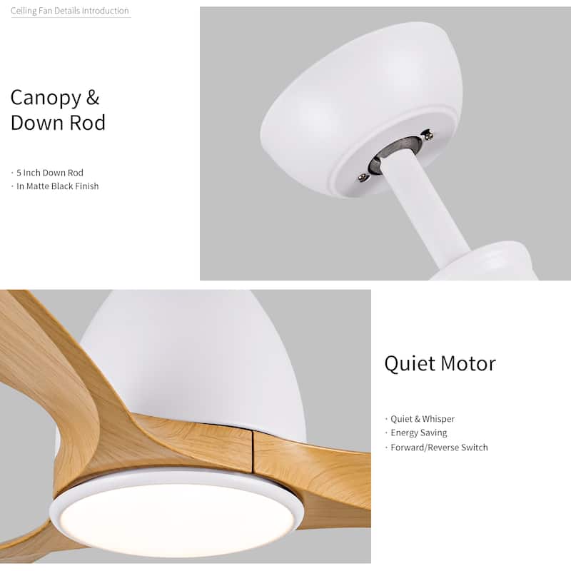 Modern Ceiling Fan Light with 6 Speed Adjustment and Lighting, Reversible DC Motor for Bedroom and Living Room