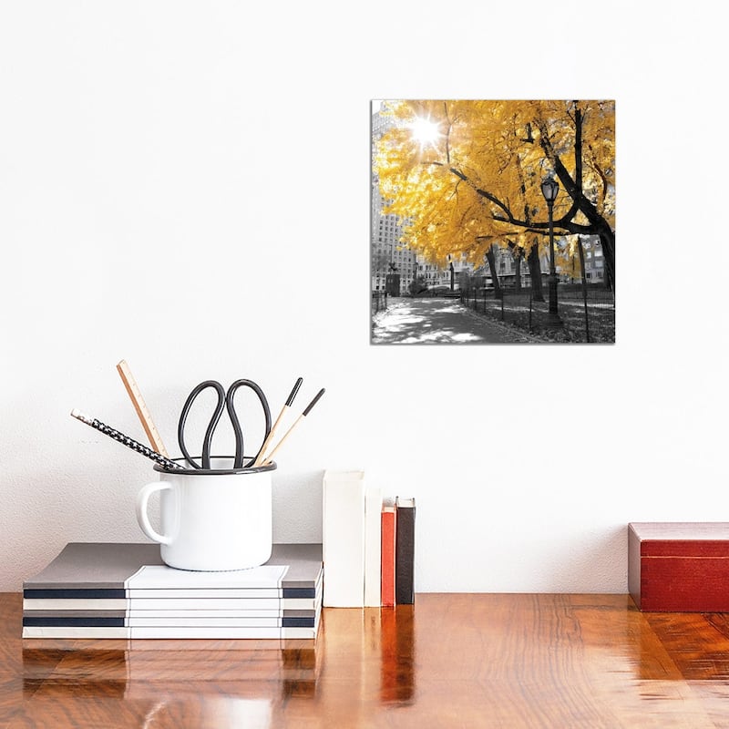 iCanvas "Park Pretty II" by Assaf Frank Canvas Print - 12x12x1.5