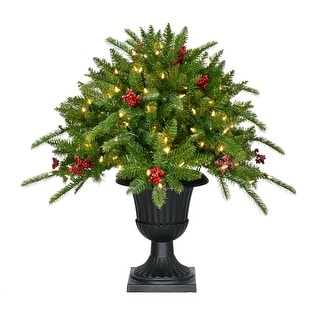 Fraser Hill Farm 2-Ft. Porch Tree in Black Pot with Red Berries and Warm White Lights