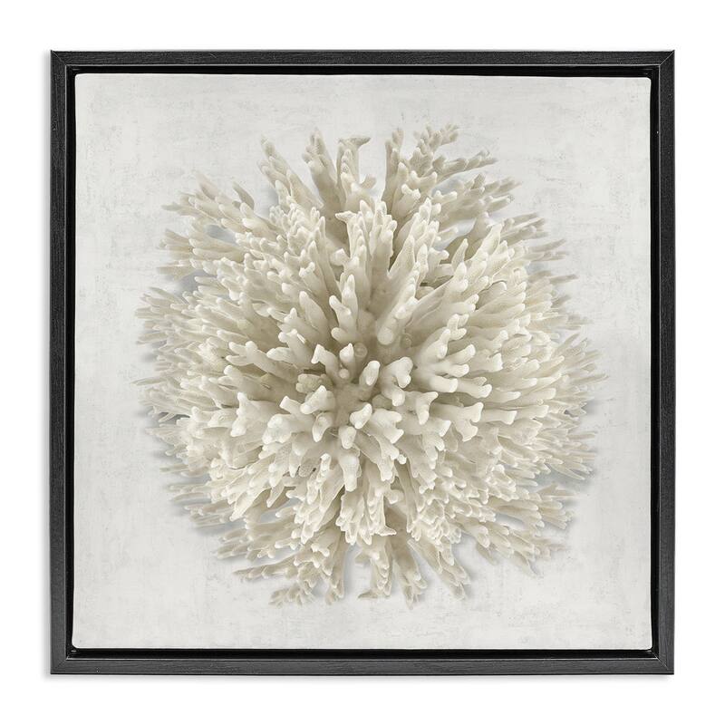 Stupell Natural Round Coral Framed Floater Canvas Wall Art Design By Caroline Kelly - 25 x 25 - Black