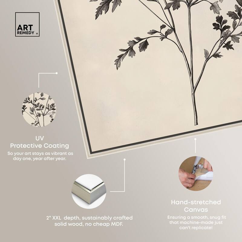 Aniseed Anatomy I Canvas by Art Remedy