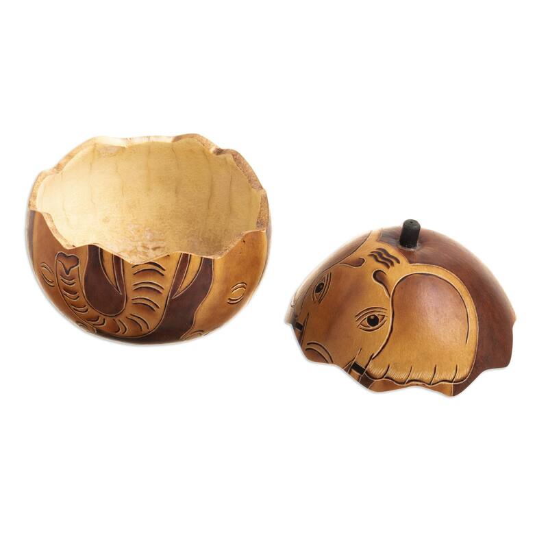 Novica Handmade Earth Tone Elephant Dried Mate Gourd Decorative Box